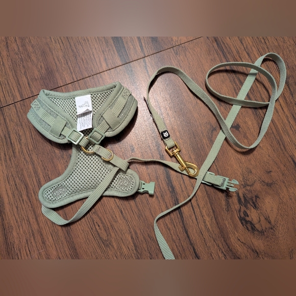 Cat or small dog harness and leash - Picture 8 of 8